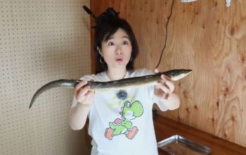 ちぬ子　やらせ